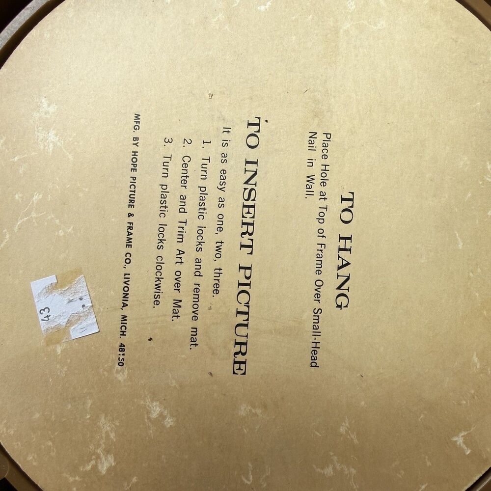 Vintage Pressed Flower Wall Art Round Brass‑Tone Frame 1960s–70s Hong Kong 8.5” - Picture 5 of 6
